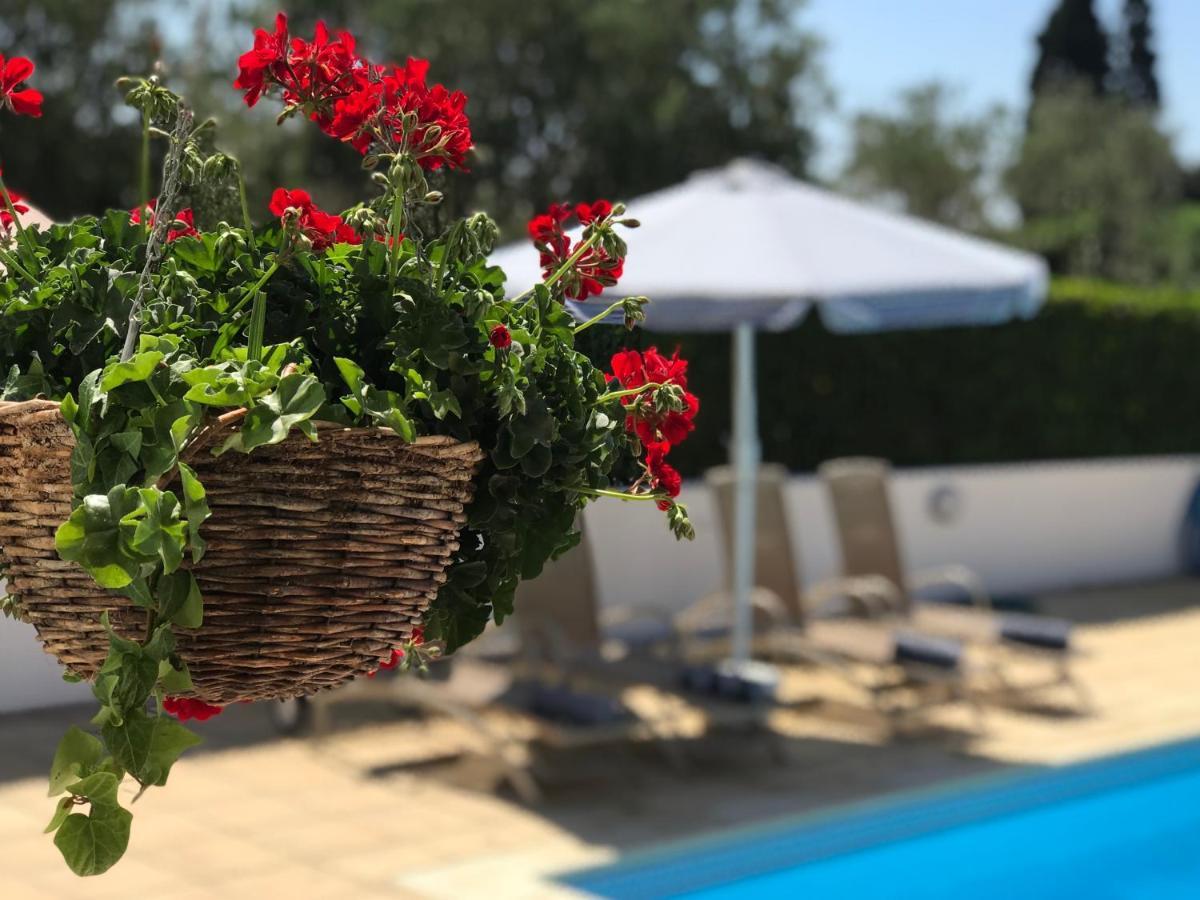 Villa Elia Bed And Breakfast Kiti Dış mekan fotoğraf